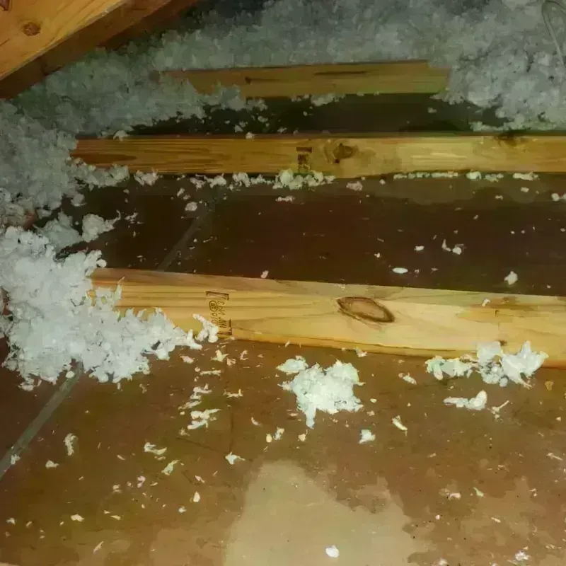 Attic Water Damage in Albia, IA